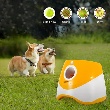 Automatic Dog Ball Launcher for Active Play and Hands Free Exercise