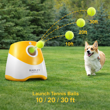 Automatic Dog Ball Launcher for Active Play and Hands Free Exercise