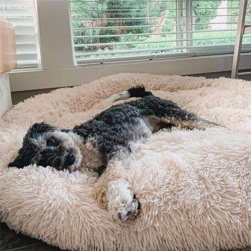 CalmaCloud Luxury Calming Dog Bed