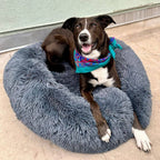 CalmaCloud Luxury Calming Dog Bed
