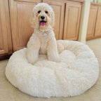 CalmaCloud Luxury Calming Dog Bed