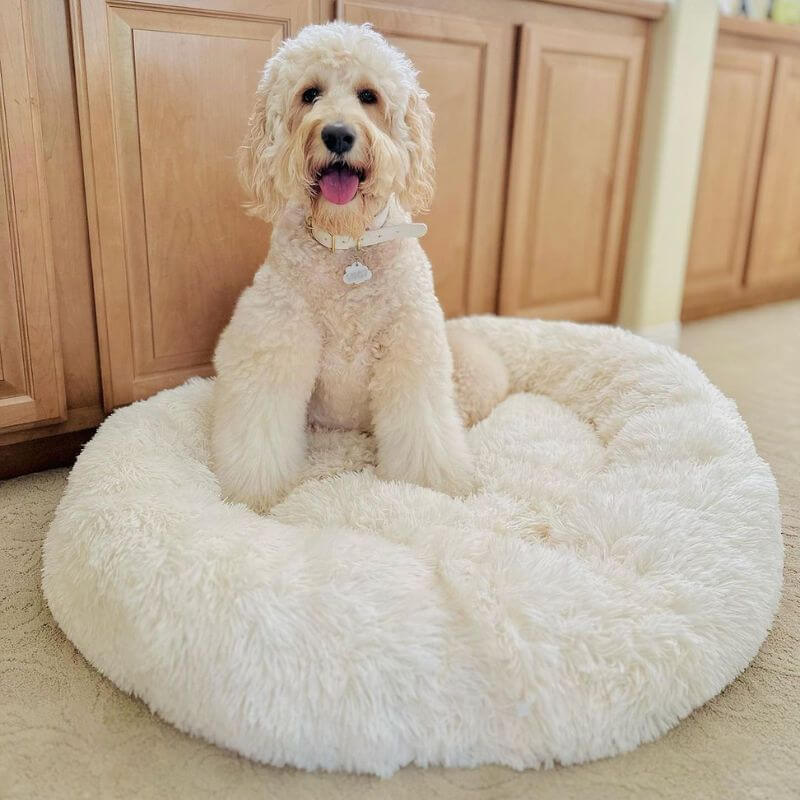 CalmaCloud Luxury Calming Dog Bed
