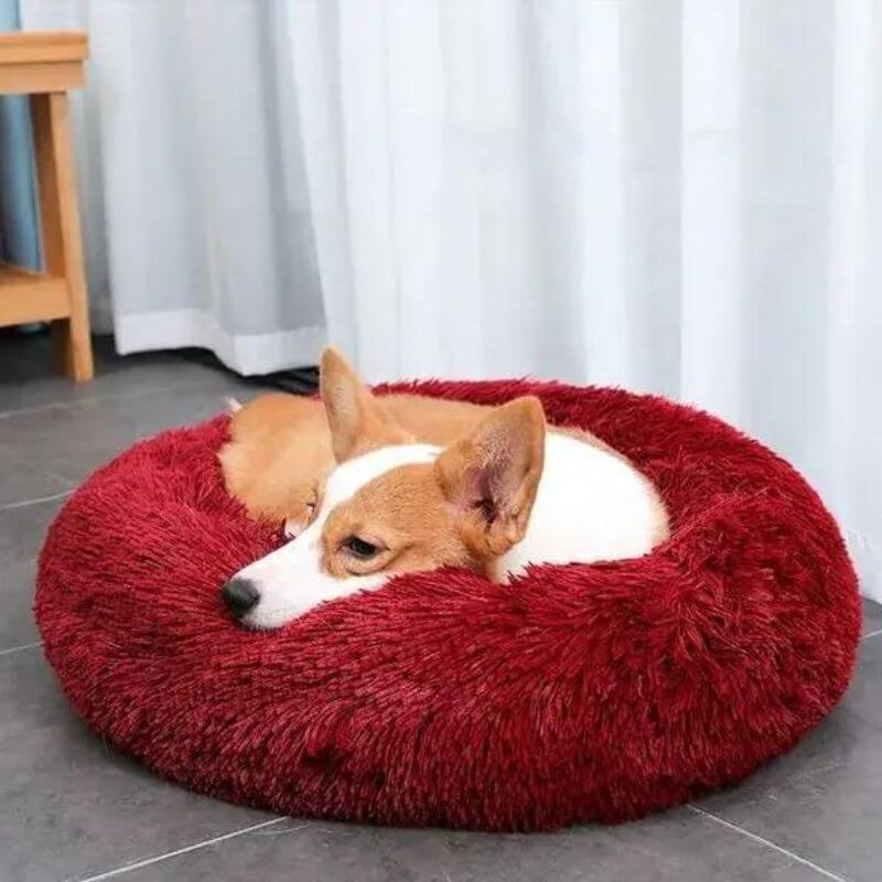 CalmaCloud Luxury Calming Dog Bed