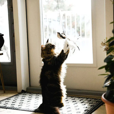 SkyPounce Reverie Interactive Bird Teaser for Indoor Cats