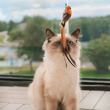 SkyPounce Reverie Interactive Bird Teaser for Indoor Cats
