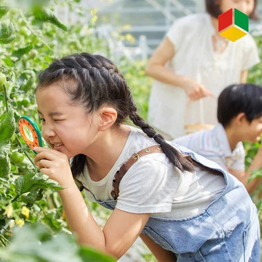 Kids Insect Exploration Kit for Educational Nature Play