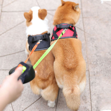 No-Tangle Dual Dog Leash™ | Walk 2 Dogs With Ease