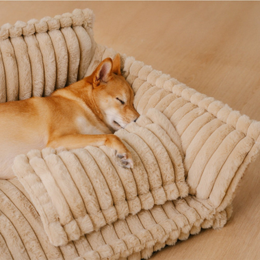 Orthopedic Dog Bed with Memory Foam Plush Washable Cover
