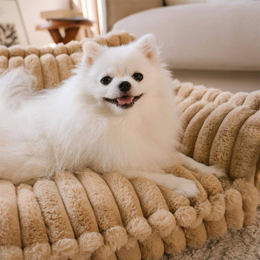 Orthopedic Dog Bed with Memory Foam Plush Washable Cover