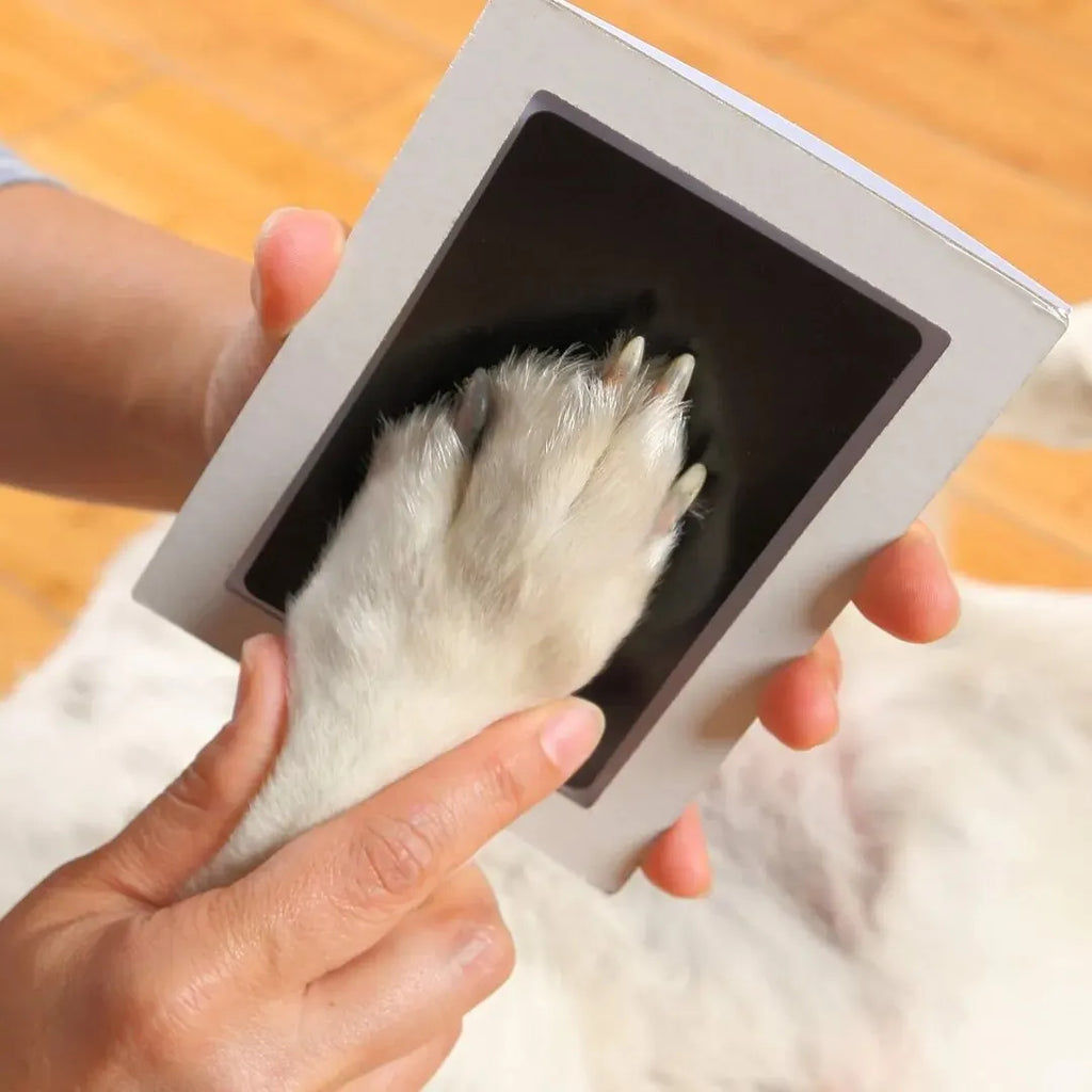 PawsPrint Pet Paw Print Ink Pad Kit Safe No Ink Keepsake for Dogs and Cats – product image 3