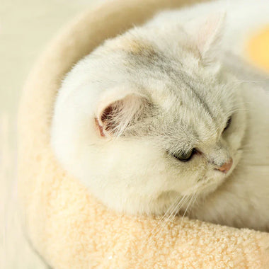 Purrlume HavenNest Dual Comfort Cat Retreat