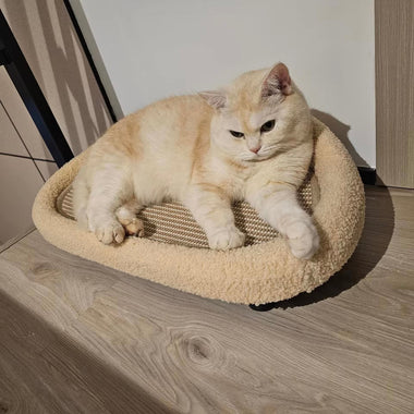 Purrlume HavenNest Dual Comfort Cat Retreat
