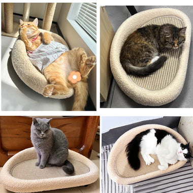 Purrlume HavenNest Dual Comfort Cat Retreat