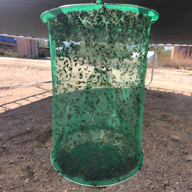 Reusable Stable Fly Trap for Outdoor Fly Control