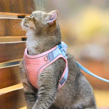 Soft Cat Harness with Leash Adjustable Vest
