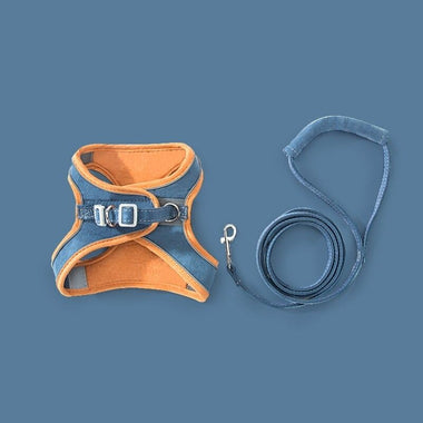 Soft Cat Harness with Leash Adjustable Vest