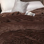 Velmoria CloudLuxe Coral Fleece Throw Blanket for All Season Comfort