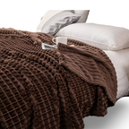 Velmoria CloudLuxe Coral Fleece Throw Blanket for All Season Comfort