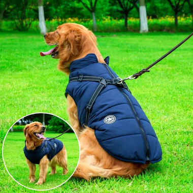 Waterproof Winter Dog Jacket with Sherpa Fleece Lining and Built In Harness