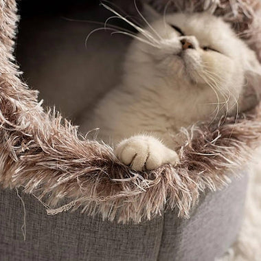 Winter Cat Bed – Warm Plush Enclosed Cat Cave