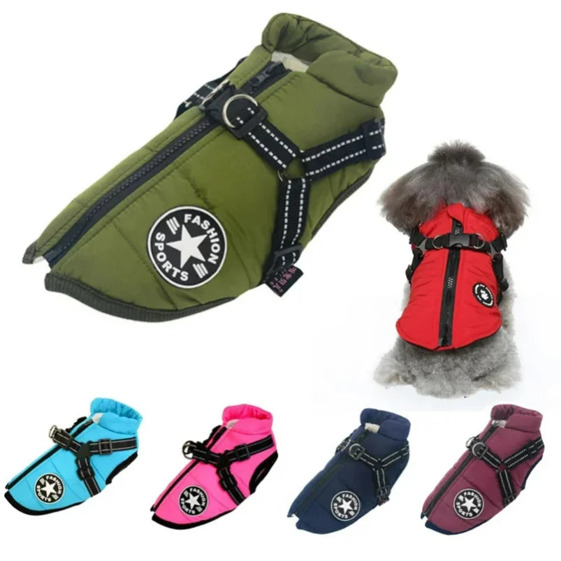 Padded Winter Dog Coat with Integrated Harness