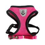 Adjustable Cat Harness and Lead Set – product image 10