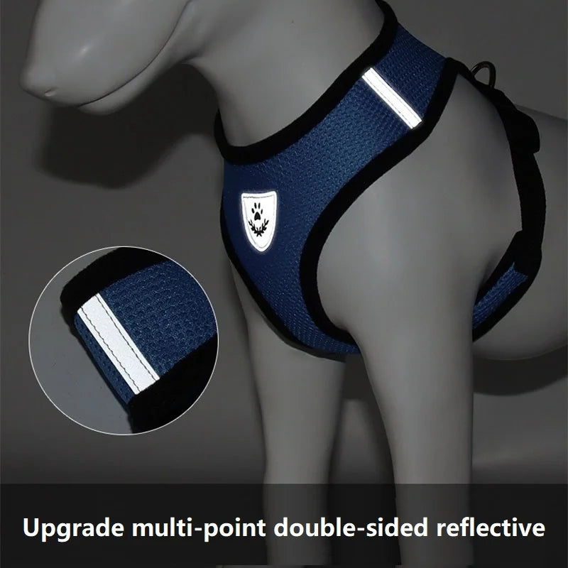 Adjustable Cat Harness and Lead Set – product image 4