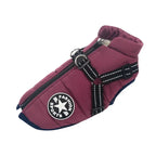 Padded Winter Dog Coat with Integrated Harness