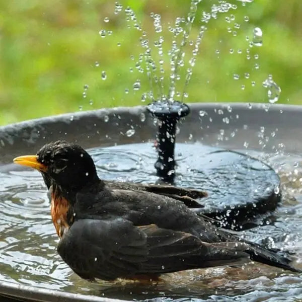 Auralis DriftBloom Solar Water Fountain
